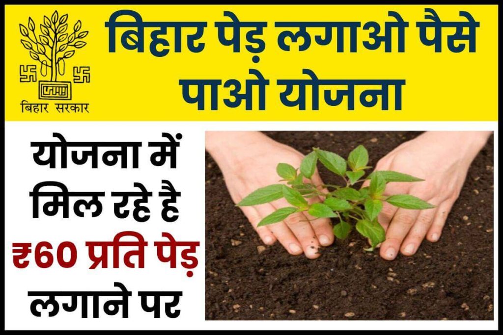 बिहार पेड़ लगाओ पैसे पाओ योजना में मिल रहे है ₹60 प्रति पेड़ लगाने पर