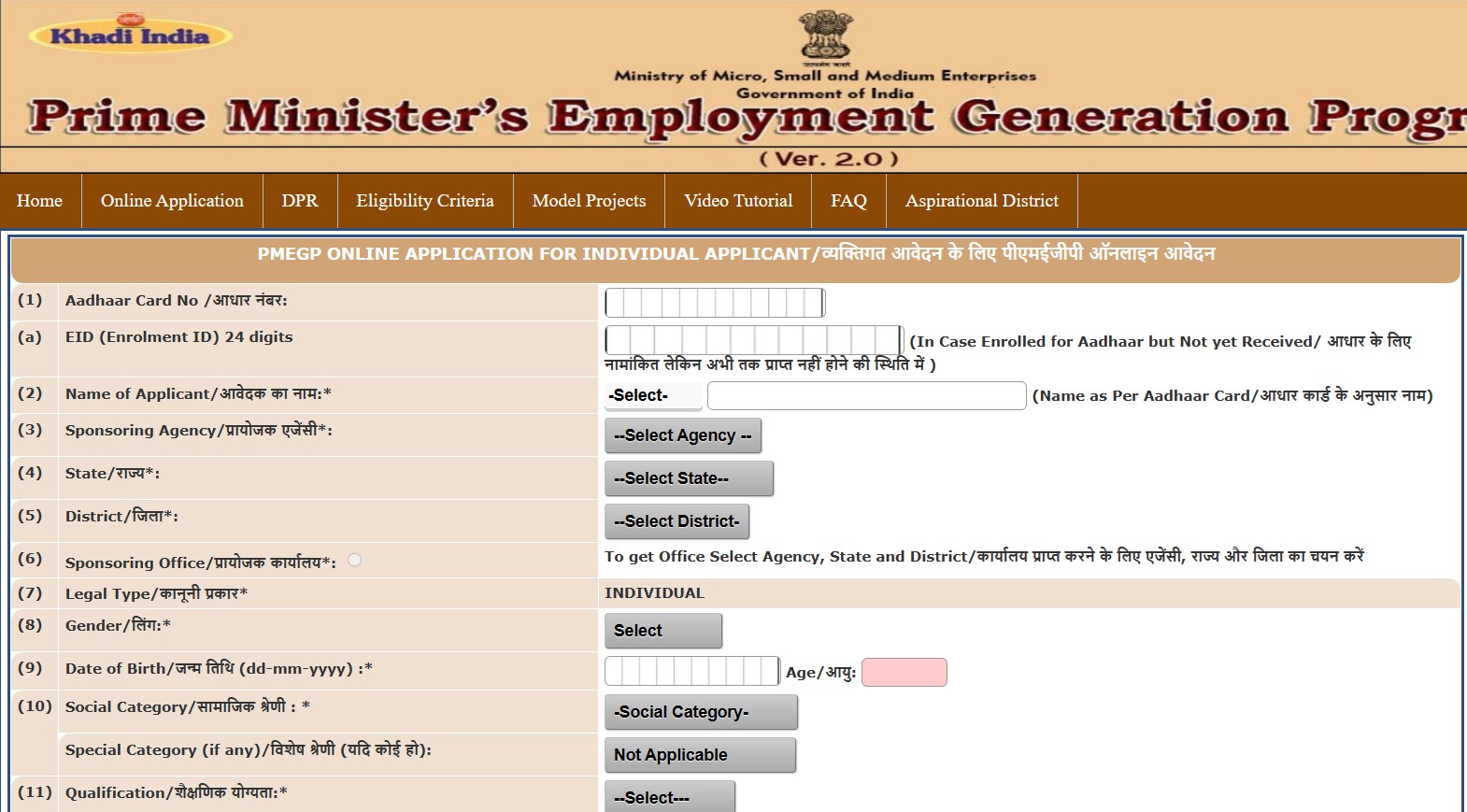 PMEGP application for new individual