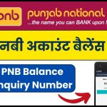 PNB Account Balance Check