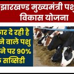 झारखण्ड मुख्यमंत्री पशुधन विकास योजना: सरकार दूध देने वाले पशु खरीदने पर देगी 90% तक सब्सिडी