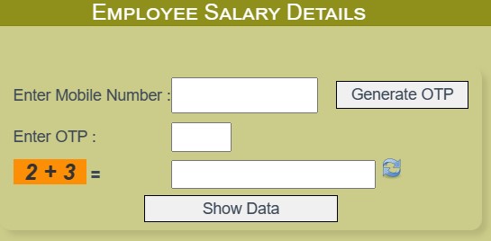 Check employee salary details