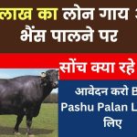 बैंक ऑफ बड़ौदा पशुपालन लोन कैसे लें BOB Pashu Palan Loan की पूरी जानकारी