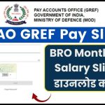 PAO GREF Pay Slip 2024 Download Pdf online @ paogref.nic.in, BRO Monthly Salary Slip