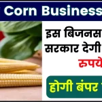 Baby Corn Business Idea: ऐसा बिजनस जिसमे सरकार देगी 15000 रुपये, शुरू करते ही होगी घर बैठे लाखों की कमाई, जाने तरीका