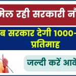 Rojgar Sangam Bhatta Yojana 2024: नहीं मिल रही सरकारी नौकरी, अब सरकार देगी 1000-1500रू प्रतिमाह, जल्दी करें आवेदन